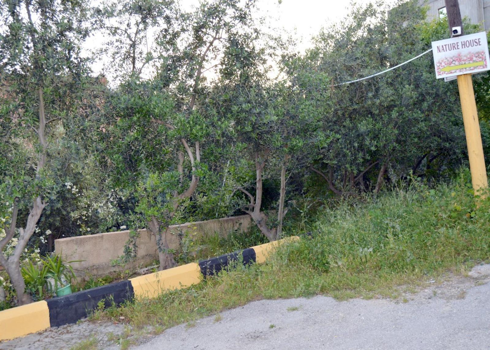 بيت الطبيعة Nature House Jarash Cameră foto